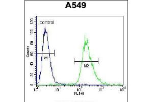 Flow cytometric analysis of A549 cells (right histogram) compared to a negative control cell (left histogram). (PRR19 Antikörper  (AA 208-236))