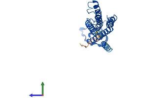 Protein Structure (PS) image for Phosphatidic Acid Phosphatase Type 2 Domain Containing 1B (PPAPDC1B) (AA 1-260) protein (His tag) (ABIN7557235)