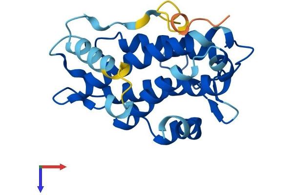 MOBKL2C Protein (AA 1-216) (His tag)