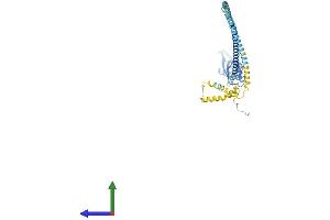 AlphaFold protein structure predicition of Mouse Recombinant Flot1 Protein, UniprotID O08917