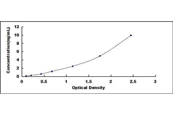 ADRB3 ELISA Kit