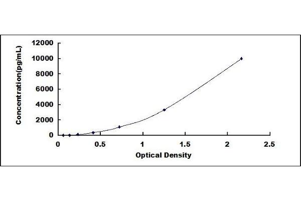 P4HA1 ELISA Kit