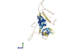 Protein Structure (PS) image for Potassium Voltage-Gated Channel, Shaker-Related Subfamily, Member 4 (KCNA4) (AA 1-654) protein (His tag) (ABIN7563914)