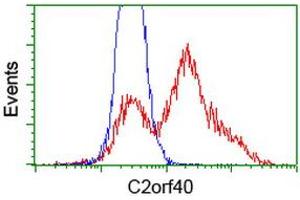 HEK293T cells transfected with either RC206239 overexpress plasmid (Red) or empty vector control plasmid (Blue) were immunostained by anti-C2orf40 antibody (ABIN2454455), and then analyzed by flow cytometry. (C2orf40 Antikörper)