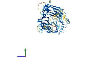 AlphaFold protein structure predicition of Human Recombinant FAM234A Protein, UniprotID Q9H0X4