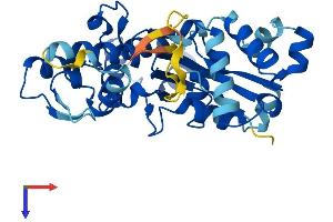 Protein Structure (PS) image for Actin-Like 10 (ACTL10) (AA 1-346) protein (His tag) (ABIN7561929)