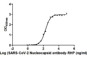 Activity: Measured by its binding ability in a functional ELISA. (Rekombinanter SARS-CoV-2 Nucleocapsid Antikörper  (AA 1-419) (HRP))