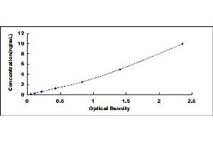 Typical standard curve (TAZ ELISA Kit)