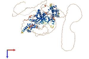 TTLL3 Protein (AA 1-927) (His tag)