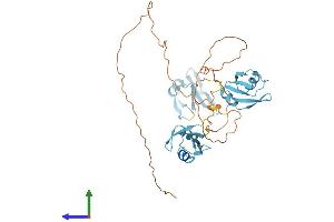 Protein Structure (PS) image for TAR DNA Binding Protein (TARDBP) (AA 1-414) protein (His tag) (ABIN7560189)