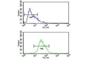 Integrin alpha 5 antibody flow cytometric analysis of CEM cells (green) compared to a negative control (blue). (ITGA5 Antikörper  (AA 796-822))