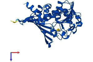 CRYM Protein (AA 1-313) (His tag)