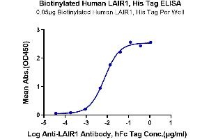 ELISA image for Leukocyte-Associated Immunoglobulin-Like Receptor 1 (LAIR1) (AA 22-163) protein (His-Avi Tag,Biotin) (ABIN7275119)