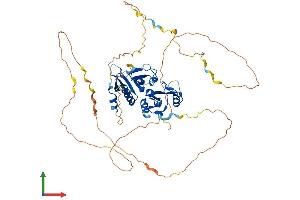 Protein Structure (PS) image for SH3-Domain Binding Protein 2 (SH3BP2) (AA 1-561) protein (His tag) (ABIN7551864)
