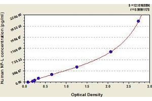 Typical Standard Curve (NEFL ELISA Kit)