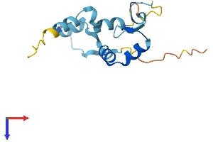 ZNF593 Protein (AA 1-134) (His tag)