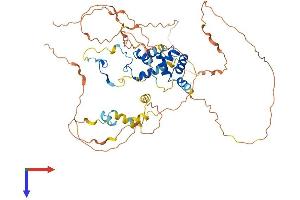 MIER2 Protein (AA 1-545) (His tag)