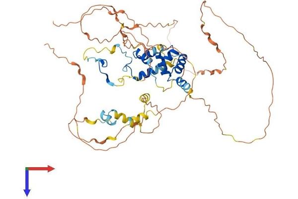 MIER2 Protein (AA 1-545) (His tag)