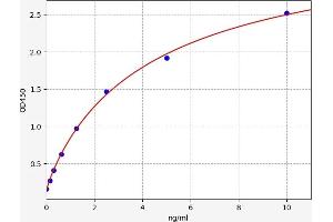 VAV3 ELISA Kit