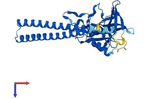 SGF29 Protein (AA 1-293) (His tag)