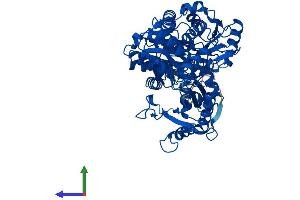 Protein Structure (PS) image for phosphoglucomutase 2-Like 1 (PGM2L1) (AA 1-621) protein (His tag) (ABIN7559214)
