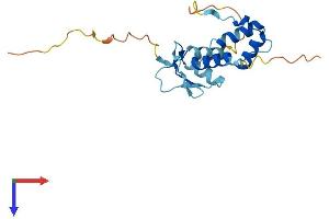 SAP30L Protein (AA 1-183) (His tag)