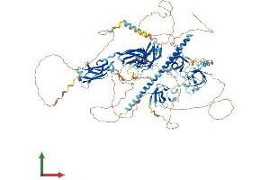Protein Structure (PS) image for RIMS Binding Protein 2 (RIMBP2) (AA 1-1052) protein (His tag) (ABIN7555188)
