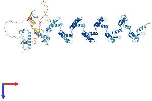 ZNF84 Protein (AA 1-738) (His tag)
