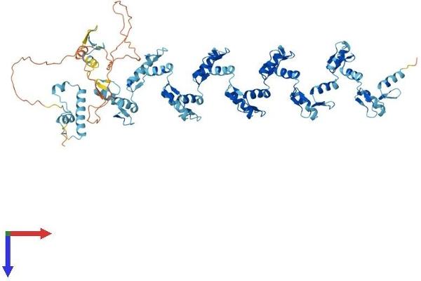 ZNF84 Protein (AA 1-738) (His tag)