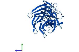 AlphaFold protein structure predicition of Mouse Recombinant Pon2 Protein, UniprotID Q62086