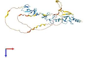 FBLIM1 Protein (AA 1-375) (His tag)