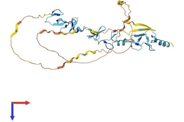 FBLIM1 Protein (AA 1-375) (His tag)