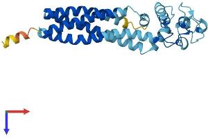 UPK1A Protein (AA 1-258) (His tag)