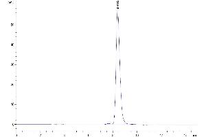 The purity of Human BACE-1 is greater than 95 % as determined by SEC-HPLC.