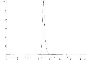 The purity of Biotinylated Human IL-18 R1/CD218a is greater than 95 % as determined by SEC-HPLC. (IL18R1 Protein (AA 19-329) (His-Avi Tag,Biotin))