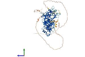 Protein Structure (PS) image for Lethal(3) Malignant Brain Tumor-Like Protein 2 (L3MBTL2) (AA 1-705) protein (His tag) (ABIN7554450)