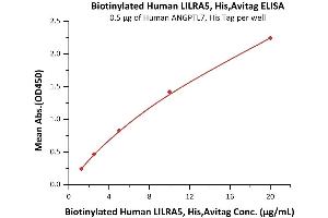 Immobilized Human ANGPTL7, His Tag (ABIN5526615,ABIN6809995) at 5 μg/mL (100 μL/well) can bind Biotinylated Human LILRA5, His,Avitag (ABIN5955021,ABIN6253650) with a linear range of 1.