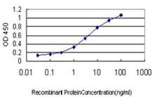 Detection limit for recombinant GST tagged PTK2B is approximately 0. (PTK2B Antikörper  (AA 682-871))