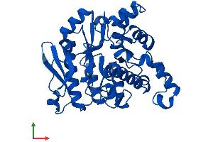 AlphaFold protein structure predicition of Human Recombinant ACMSD Protein, UniprotID Q8TDX5