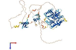 ADARB2 Protein (AA 1-745) (His tag)