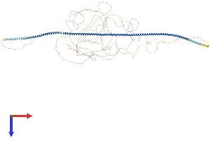 CAZIP Protein (AA 1-1369) (His tag)
