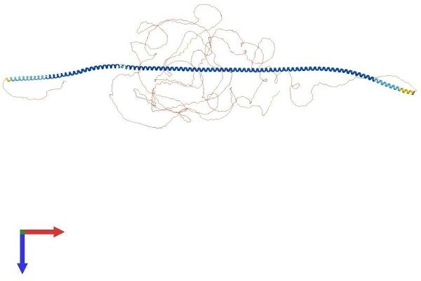 CAZIP Protein (AA 1-1369) (His tag)