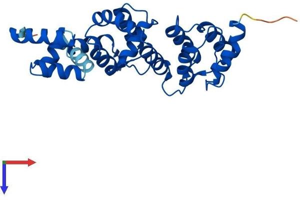 DCUN1D2 Protein (AA 1-259) (His tag)