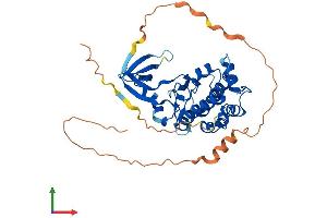Protein Structure (PS) image for Tribbles Homolog 1 (TRIB1) (AA 1-372) protein (His tag) (ABIN7544686)