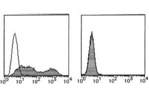 Flow Cytometry (FACS) image for anti-Podoplanin (PDPN) antibody (FITC) (ABIN2853606) (Podoplanin Antikörper  (FITC))