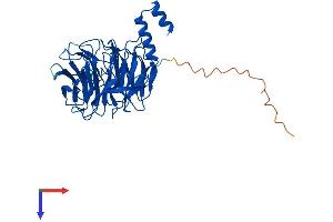 ERCC8 Protein (AA 1-396) (His tag)