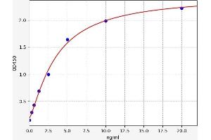 C1q and Tumor Necrosis Factor Related Protein 3 (C1QTNF3) ELISA Kit