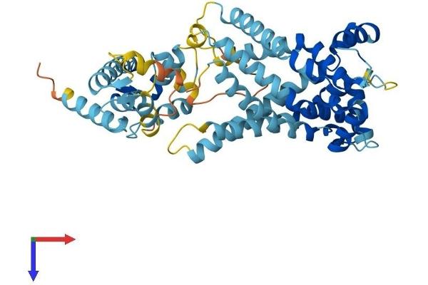 SLC25A23 Protein (AA 1-468) (His tag)