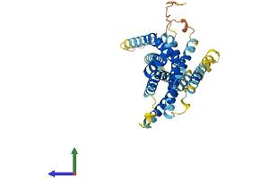 Protein Structure (PS) image for G Protein-Coupled Receptor 146 (GPR146) (AA 1-333) protein (His tag) (ABIN7548007)