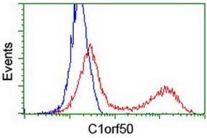 HEK293T cells transfected with either RC200134 overexpress plasmid (Red) or empty vector control plasmid (Blue) were immunostained by anti-C1orf50 antibody (ABIN2454603), and then analyzed by flow cytometry. (C1ORF50 Antikörper)